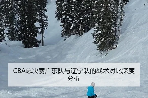 CBA总决赛广东队与辽宁队的战术对比深度分析