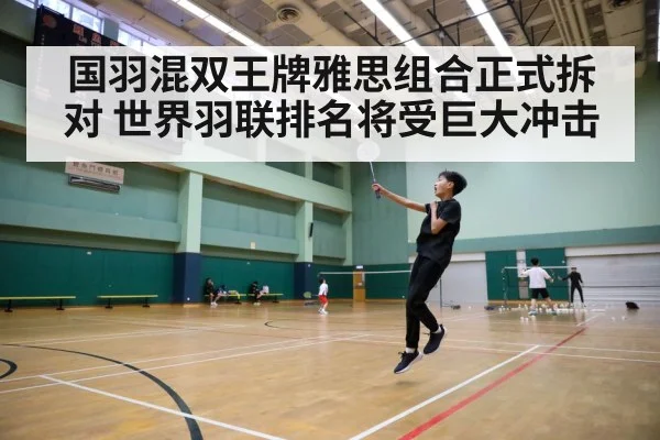 badminton court action